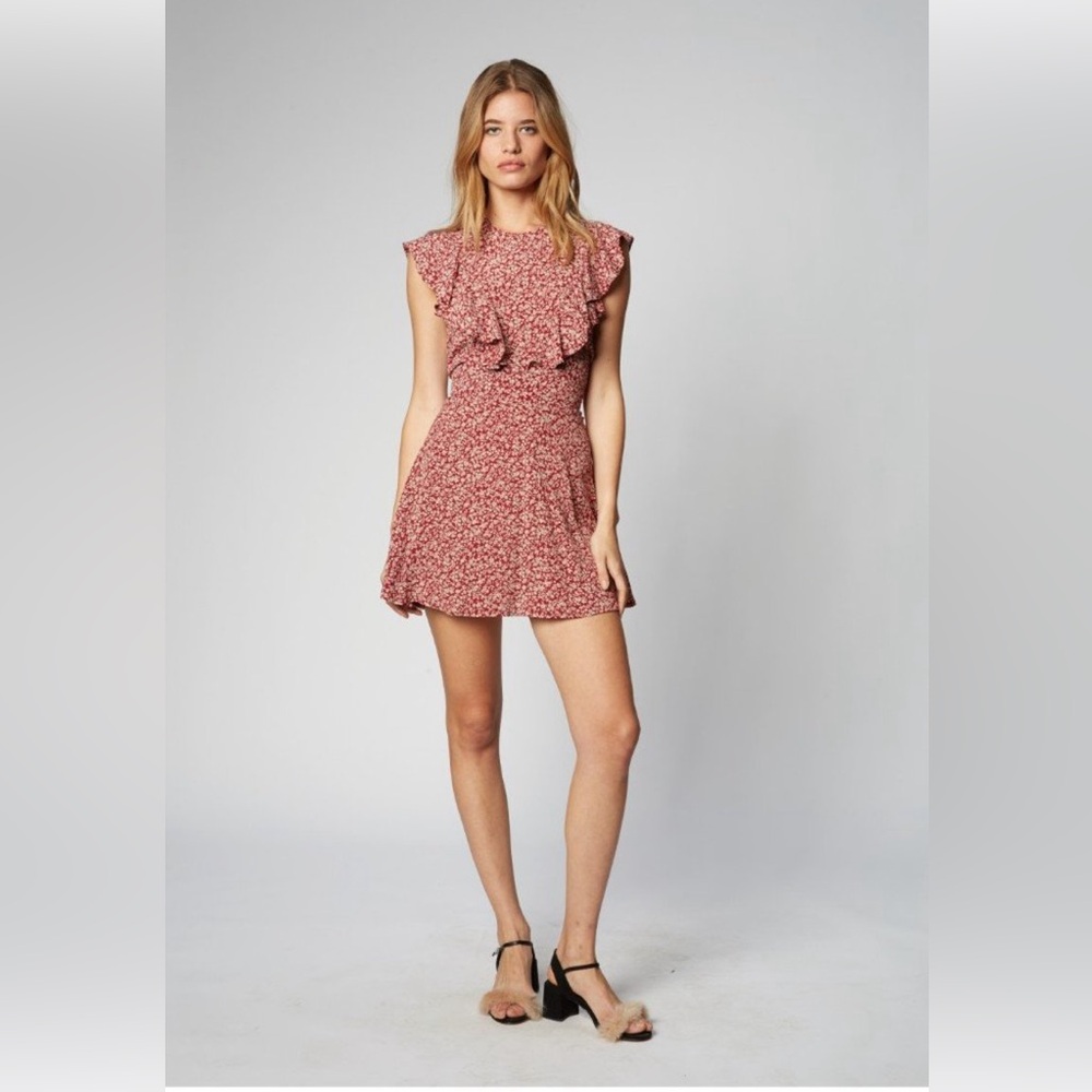 🎀FLYNN SKYE small remi mini dress in dandelion dreams ruffles